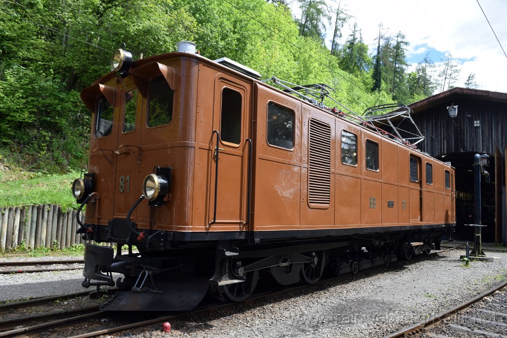 9133-0023-190524.jpg - RhB Ge 4/4 81 / Chaulin 19.5.2024