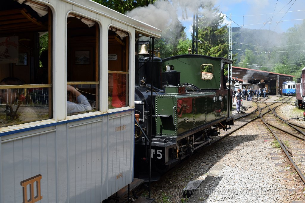 9133-0048-190524.jpg - LEB G 3/3 5 "Bercher" / Chaulin 19.5.2024