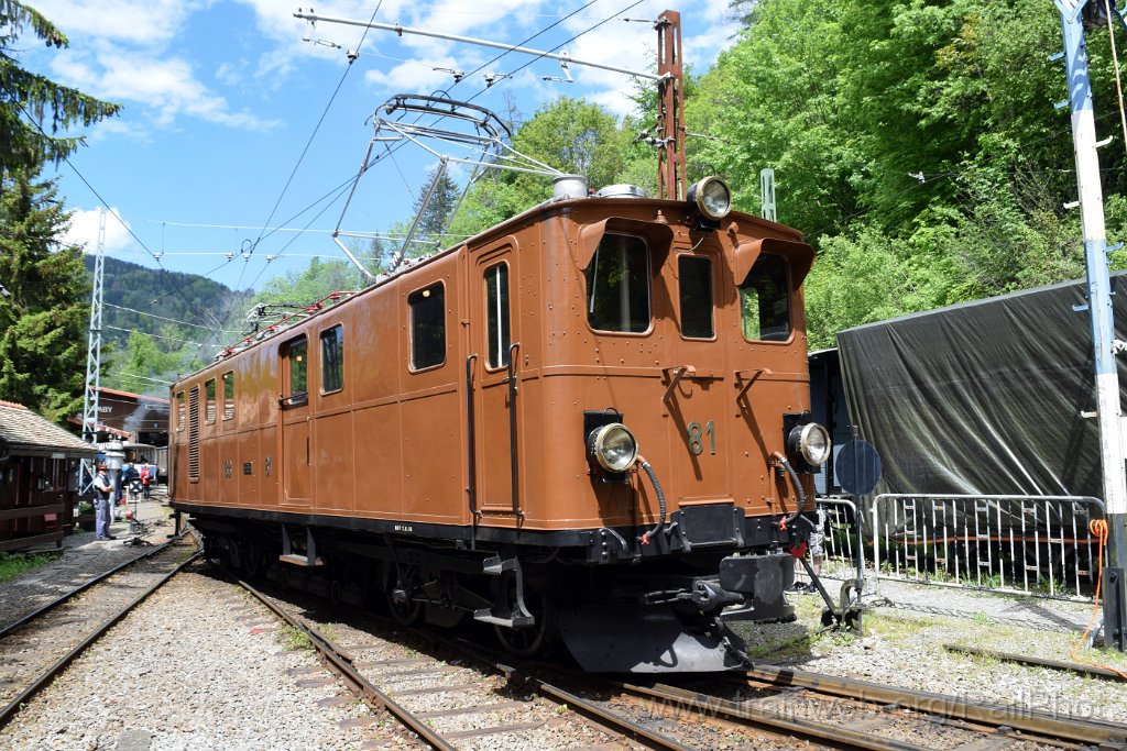 9134-0004-190524.jpg - RhB Ge 4/4 81 / Chaulin 19.5.2024