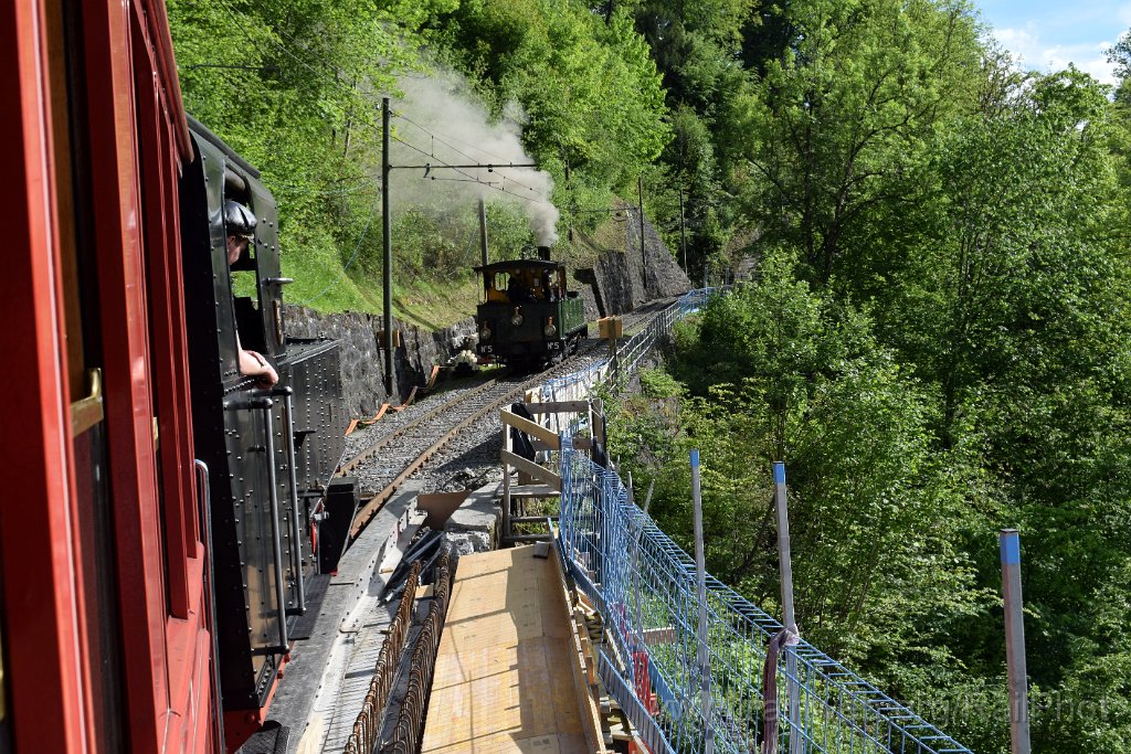 9142-0029-190524.jpg - SEG G 2x2/2 105 "Todtnau" + LEB G 3/3 5 "Bercher" / Vers-chez-Robert 19.5.2024