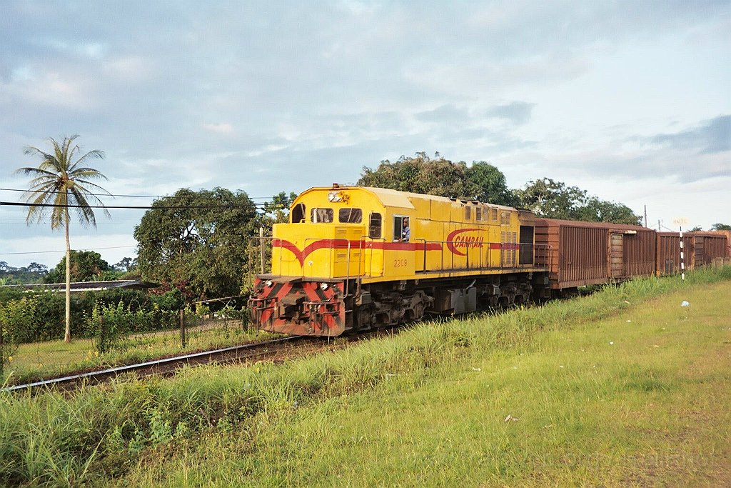 0979-0036.jpg - Camrail CC 2209 / Edéa (Pont de la Sanaga) 1.8.2004