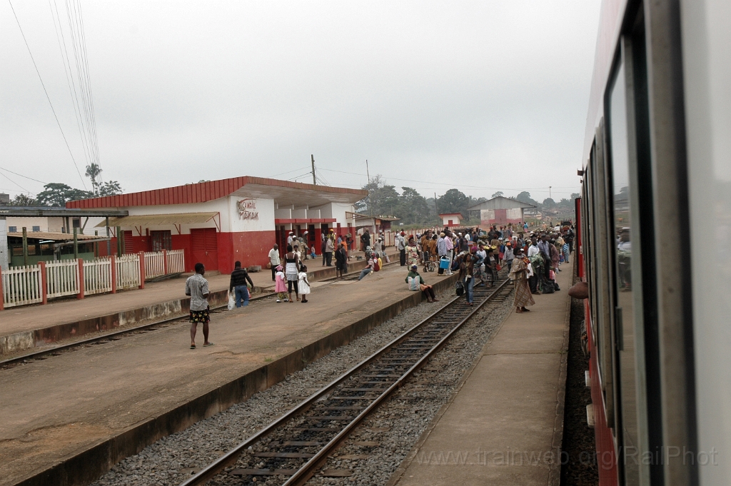 3021-0046-191213.jpg - Makak 19.12.2013