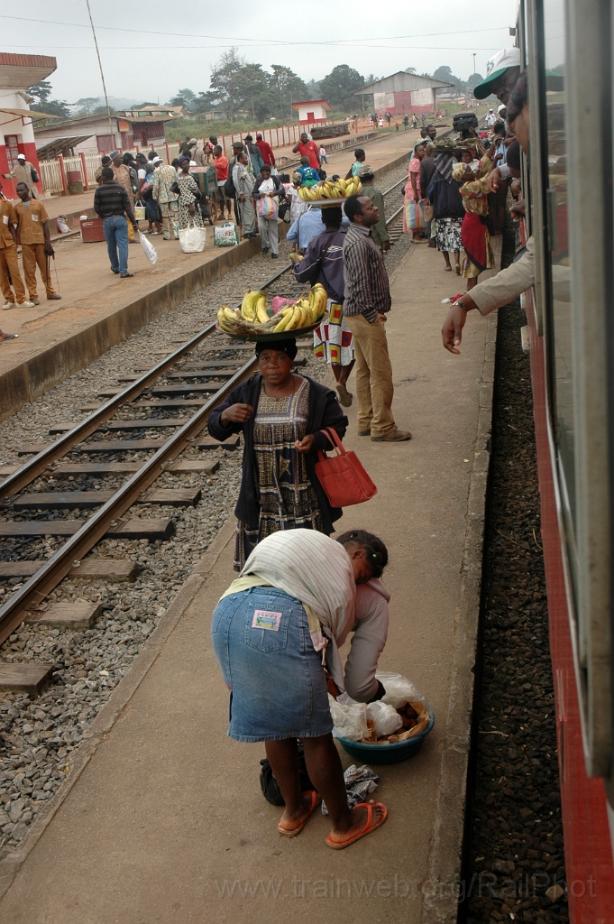 3021-0049-191213.jpg - Makak 19.12.2013