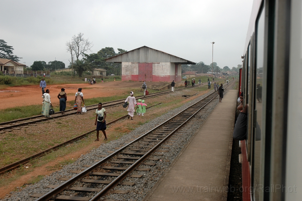 3022-0007-191213.jpg - Makak 19.12.2013