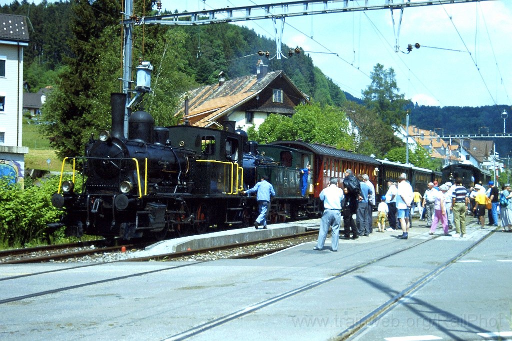 0887-0025.jpg - DVZO E 3/3 10 + Ed 3/4 2 / Bäretswil 26.5.2001