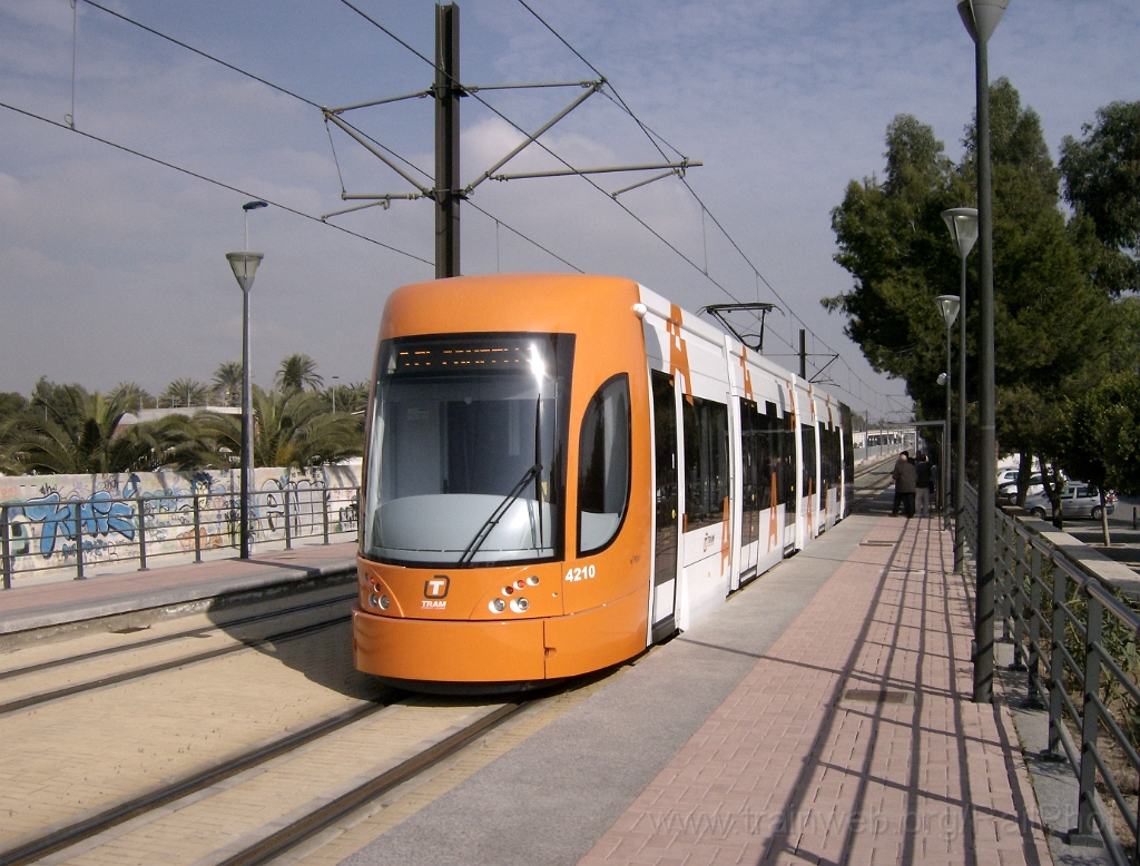 1447-0007-240108.JPG - FGV 4210 / Albufereta 24.1.2008