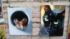 WP_20190210_15_35_51_Pro