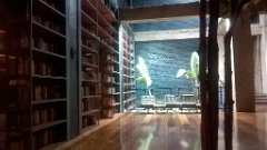 WP_20190218_21_18_30_Pro