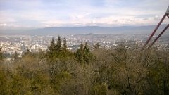 WP_20190316_12_06_31_Pro