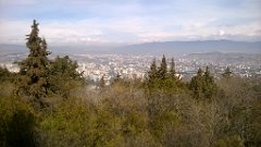 WP_20190316_12_06_34_Pro