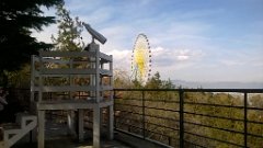 WP_20190316_12_08_29_Pro