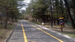 WP_20190316_13_28_01_Pro