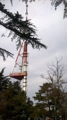 WP_20190316_13_29_55_Pro