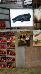 WP_20190317_14_06_29_Pro