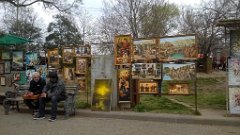 WP_20190317_14_23_17_Pro