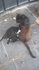 WP_20190608_19_23_38_Pro