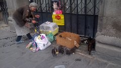 WP_20190608_19_41_57_Pro