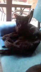 WP_20200119_15_45_09_Pro