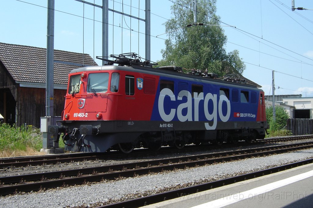 1351-0018-200607.jpg - SBB-CFF Ae 610.463-2 «Göschenen» / Hinwil 20.6.2007