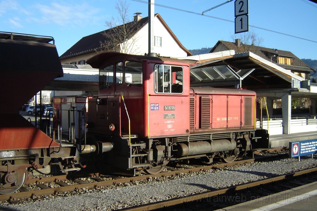 1008-0029-120105.jpg - SBB-CFF Tm IV 8779 / Hinwil 12.1.2005