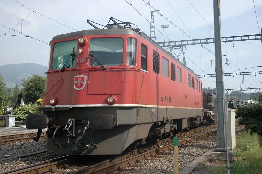 1547-0042-290808.jpg - Ae 6/6 11445 «Frauenfeld» / Hinwil 29.8.2008