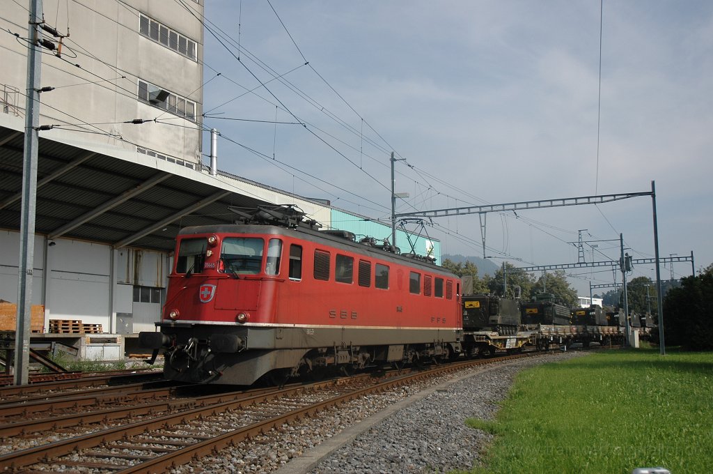1548-0007-290808.jpg - Ae 6/6 11445 «Frauenfeld» / Hinwil 29.8.2008