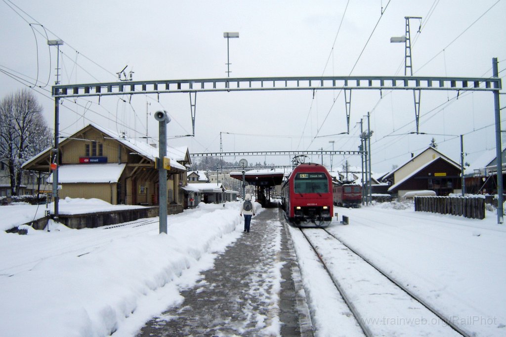 1139-0050-070306.jpg - SBB-CFF Re 450.029-4 «Altikon» +  Ae 6/6 11420 «Appenzell A.Rh» / Hinwil 7.3.2006