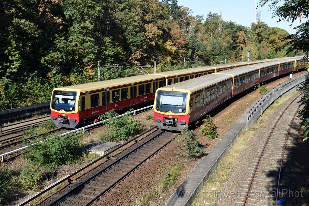 4168-0039-220916.jpg - DBAG 481.395-2 + 481.220-2 / Berlin-Messe Süd (Eichkamp) 22.9.2016