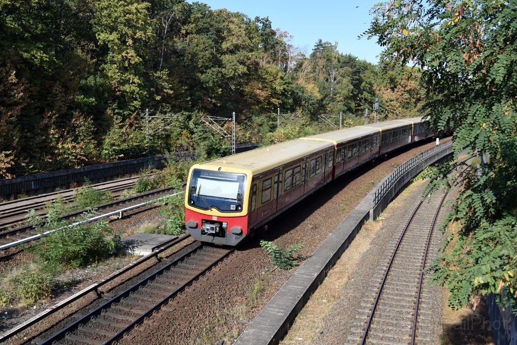 5117-0032-180918.jpg - DBAG 481.090-9 "Erkner" / Berlin Messe Süd (Eichkamp) 18.9.2018
