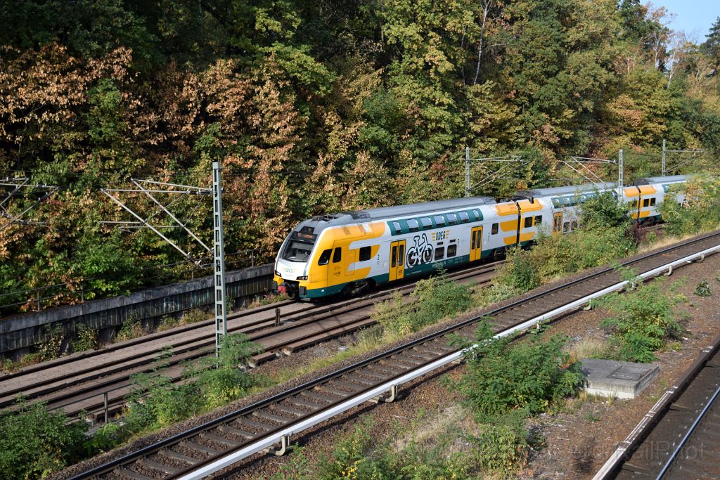5120-0033-190918.jpg - ODEG 445.103 / Berlin Messe Süd (Eichkamp) 19.9.2018