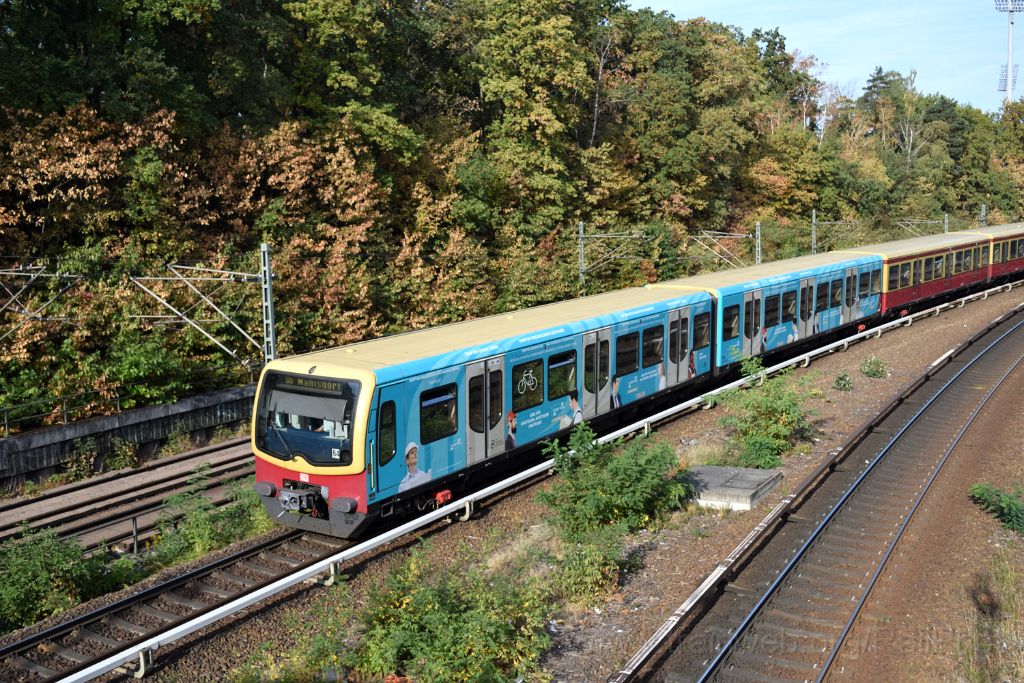 5124-0002-200918.jpg - DBAG 481.278-0 "Tempton" / Berlin Messe Süd (Eichkamp) 20.9.2018