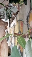 IMG20260615174755