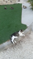 IMG20260702192446