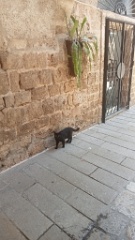 IMG20260704123443