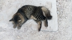 IMG20260908145601
