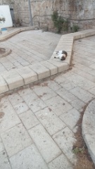 IMG20260913175046