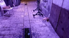 IMG20260913200906