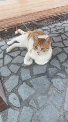IMG20260922123643