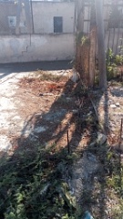 IMG20260927151621