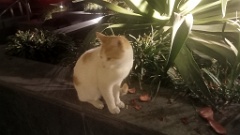 IMG20260303062942