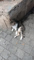 IMG20260516102303