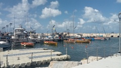 IMG20260516103141