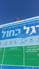 IMG20260613162154