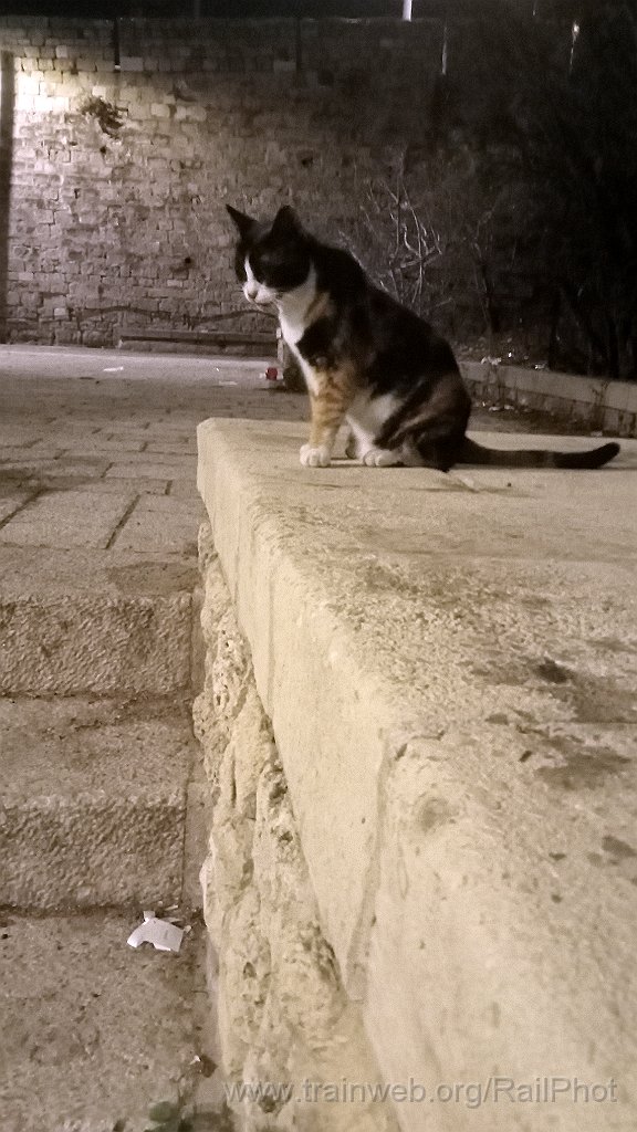 IMG20260913195046.jpg - Jaffa 13.09.2026