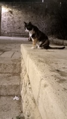 IMG20260913195046