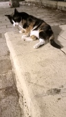 IMG20260913195635