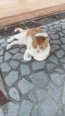 IMG20260922123645