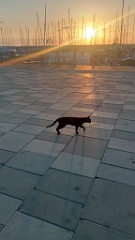 IMG20260926181549