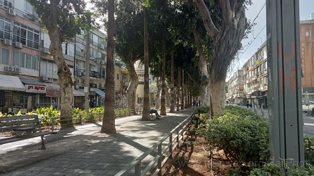 IMG20260213102315.jpg - Jaffa 13.2.2026