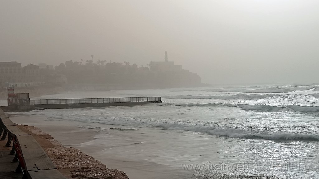 IMG20260214160323.jpg - Jaffa 14.2.2026